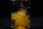Krill Calanus Hydro Liquid Food