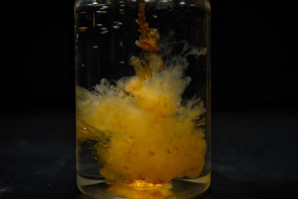 Krill Calanus Hydro Liquid Food