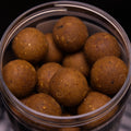 Insect Cream Hard hookbait