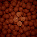 Squid Liver Robin Red (SLR)